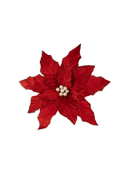 Λουλούδι αλεξανδρινό πικ με κλιπ 27 εκ. Κόκκινο-